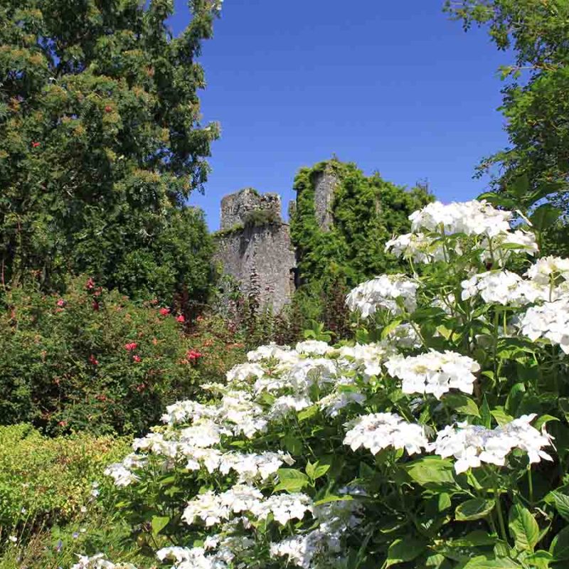 Castle Kennedy with flowers in bloom