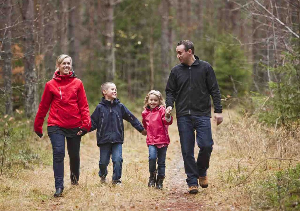 A family of man, woman and two children holding hands whilst out walking in the woods.