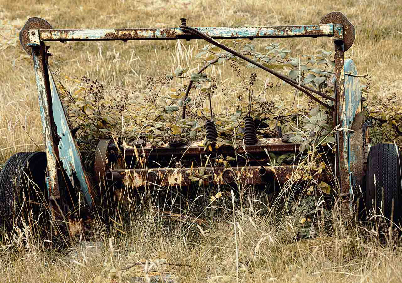 Old farming equipment overgrown in a field.