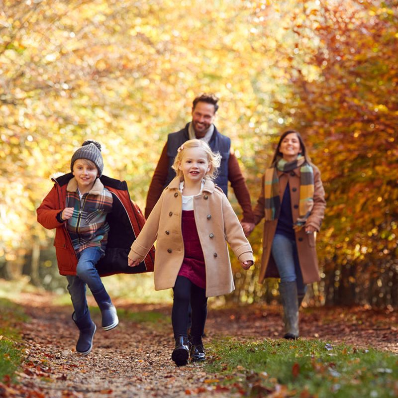 A family enjoying an Autumn Walk surrounded by trees with golden leaves