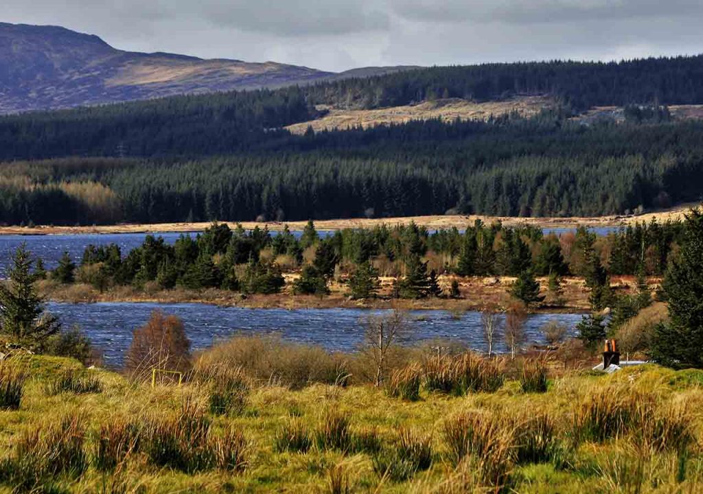Galloway Forest with a loch in the foreground and hills in the background.